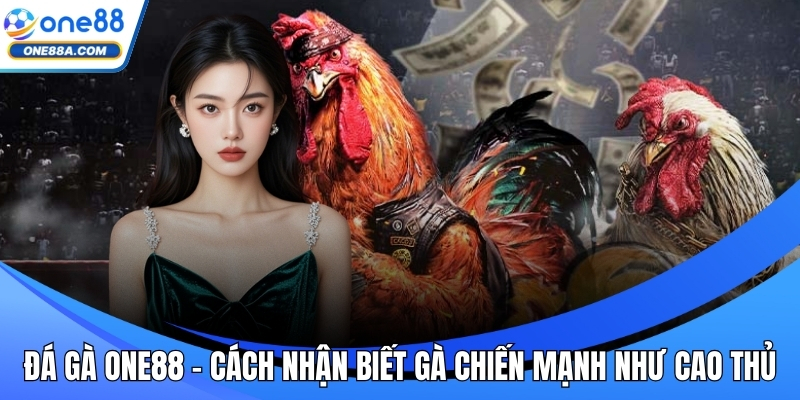 Đá gà ONE88