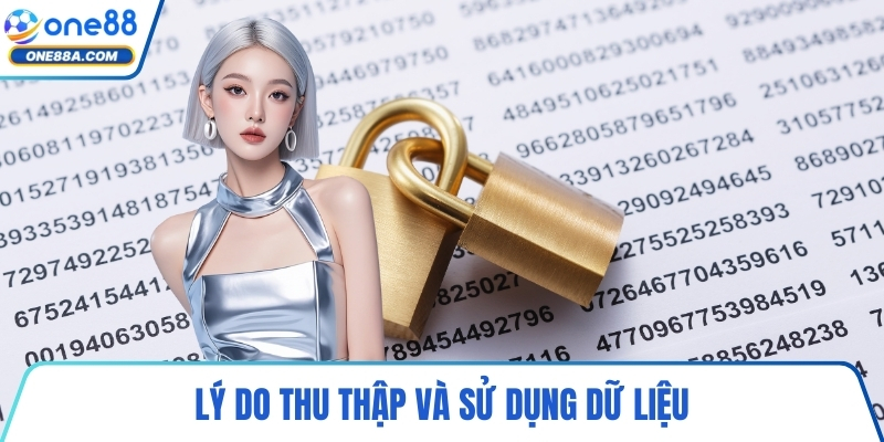 Lý do thu thập và sử dụng dữ liệu
